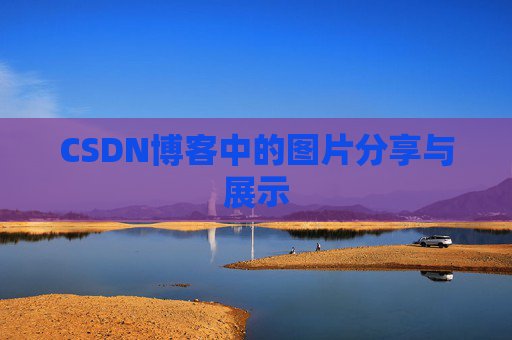 CSDN博客中的图片分享与展示